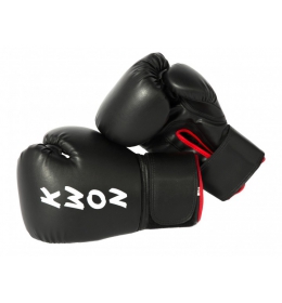 Boxovací rukavice Training