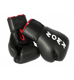 Boxovací rukavice Training