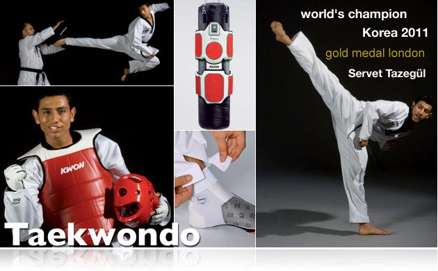 Taekwondo KWON
